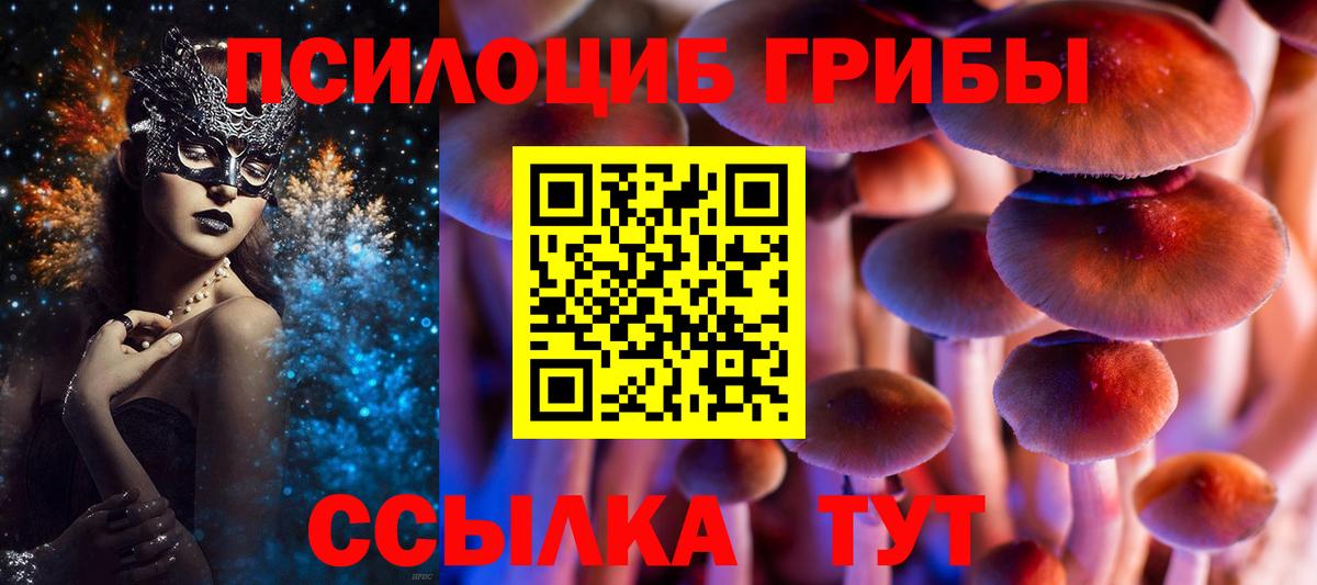 Заволжье  купить наркотик  Вход с VPN  Галлюциногенные грибы Cubensis 